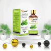 Pack Of 6 Essential Oils - Eucalyptus | Lemongrass | Lavender | Peppermint | Rosemary And Tea Tree