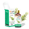 Pack Of 6 Essential Oils - Eucalyptus | Lemongrass | Lavender | Peppermint | Rosemary And Tea Tree