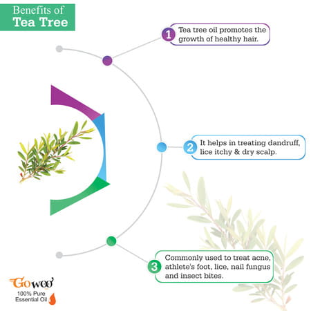 Pack Of 6 Essential Oils - Eucalyptus | Lemongrass | Lavender | Peppermint | Rosemary And Tea Tree