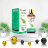 Pack Of 6 Essential Oils - Eucalyptus | Lemongrass | Lavender | Peppermint | Rosemary And Tea Tree