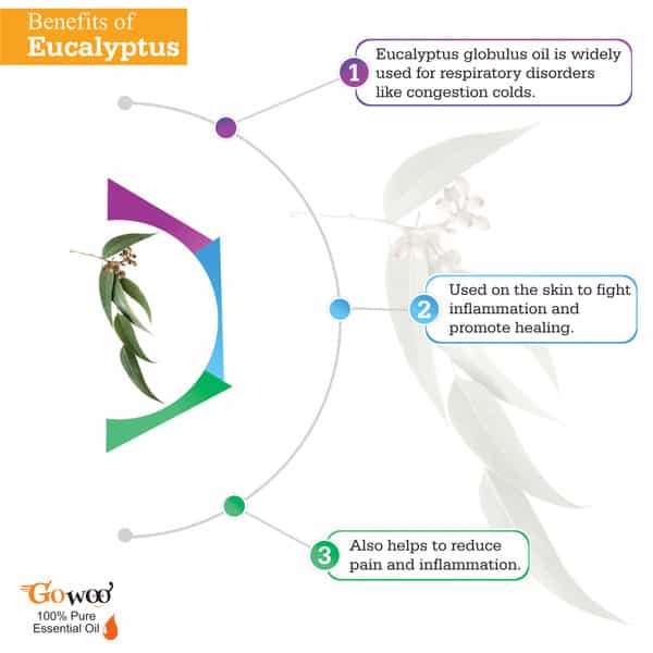 Pack Of 6 Essential Oils - Eucalyptus | Lemongrass | Lavender | Peppermint | Rosemary And Tea Tree