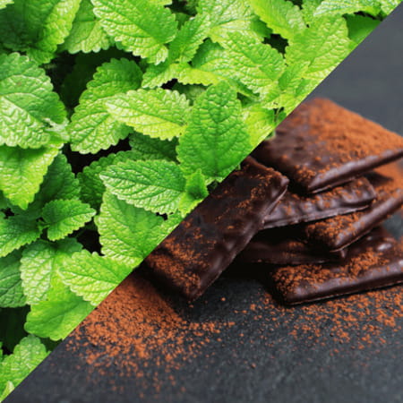 Staycool Breath Freshener Spray - Spearmint Chocolate Mint - Pack Of 2