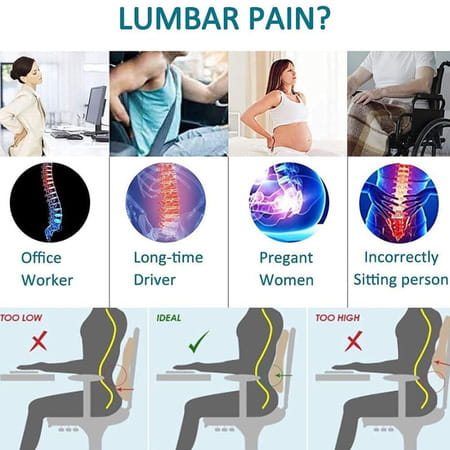 Besafe Forever Lumbar Support Backrest Compatible With Car Office Chair | Universal | Black