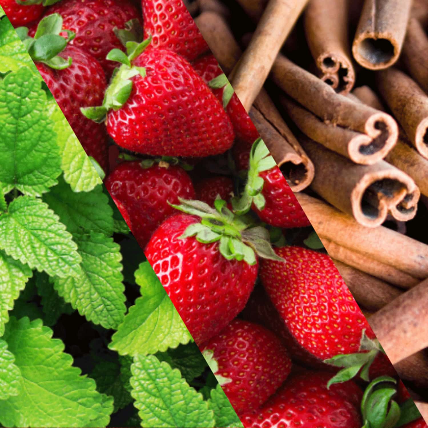 Buy STAYCOOL BREATH FRESHENER SPRAY SPEARMINT STRAWBERRY CINNAMON