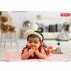 Fisher Price Ultracare Food Nibbler With Extra Mesh Pink