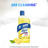 Lizol Citrus Disinfectant Floor Cleaner Liquid Bottle Of 500 Ml