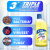 Lizol Citrus Disinfectant Floor Cleaner Liquid Bottle Of 500 Ml