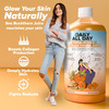 Daily All Day Himalayan Sea Buckthorn Berry Pulp Concentrated Juice 500 Ml