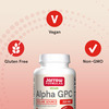 Jarrow Formulas Alpha Gpc | 60 Capsules