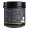Nutrabay Gold 100% Whey Protein Concentrate Strawberry Milkshake - 500G
