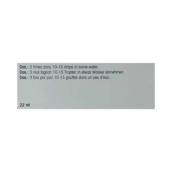 Dr. Reckeweg R193 Immune Fortifier Drops (22Ml)