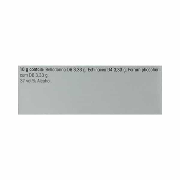 Dr. Reckeweg R193 Immune Fortifier Drops (22Ml)