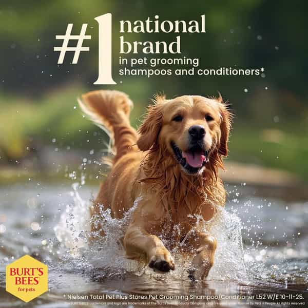 Burt's Bees Paw & Nose Lotion For Dogs | 118 Ml