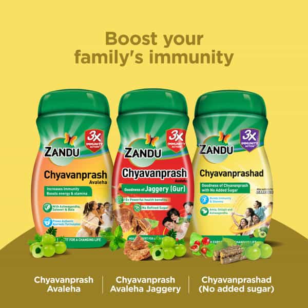 Zandu Chyavanprashad Sugar Free Health Supplement Bottle Of 900 G