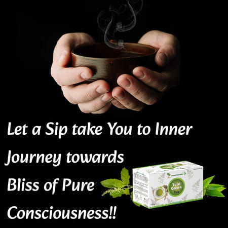 Planet Ayurveda Pure & Light Organic Tulsi Green Tea Bags | Zero Calories - 30 Tea Bag