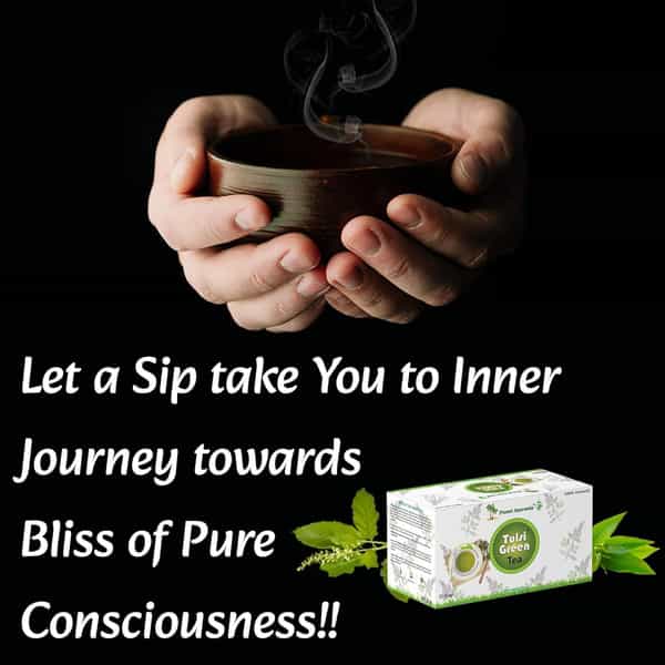Planet Ayurveda Pure & Light Organic Tulsi Green Tea Bags | Zero Calories - 30 Tea Bag