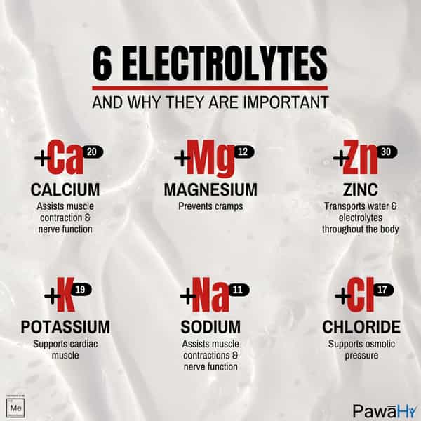 Pawahy Isotonic Drink Endurance Workout Electrolyte Energy Drink With 2:1:1 Bcaa- 1Kg (Strawberry)