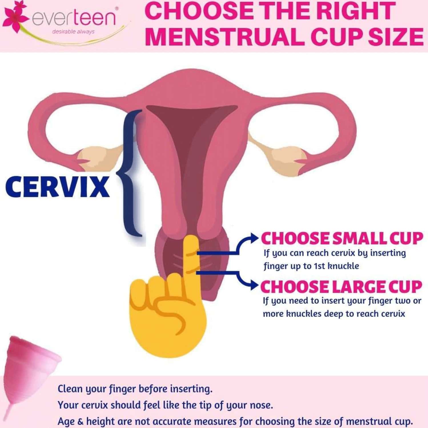 Buy EVERTEEN LARGE MENSTRUAL CUP FOR PERIODS IN WOMEN 1 PACK (30ML CAPACITY) Online & Get Upto
