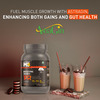 Muscleblaze Biozyme Whey Protein Pr With 30g Protein | 3g Creatine Monohydrate Cookies & Cream | 1kg
