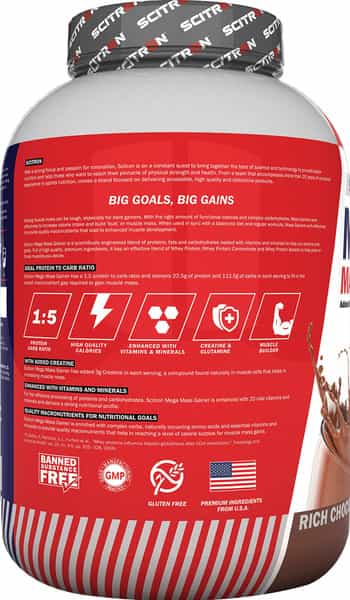 Scitron Essential Whey Protein (24G Protein | 5G Bcaas | Post-Workout) - 2Kg (Pineapple Delight)