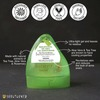 Soulflower Herbal Tea Tree & Aloevera Brightening Oil Free Gel Moisturizer - 100ml