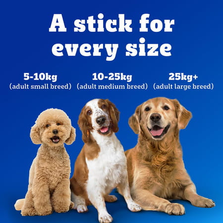 Pedigree Dentastix Oral Care Dog Treat | Adult Large Breed (25+ Kg) | 270 G