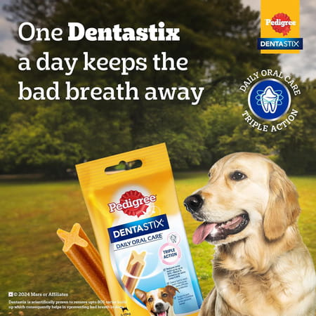 Pedigree Dentastix Oral Care Dog Treat | Adult Large Breed (25+ Kg) | 270 G
