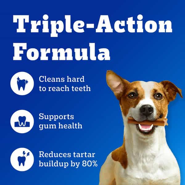 Pedigree Dentastix Oral Care Dog Treat | Adult Large Breed (25+ Kg) | 270 G