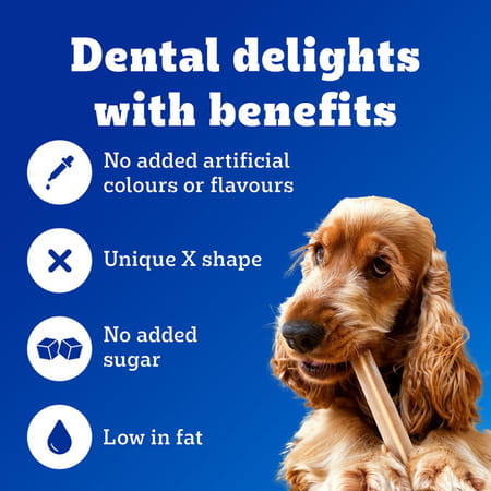 Pedigree Dentastix Oral Care Dog Treat | Adult Large Breed (25+ Kg) | 270 G