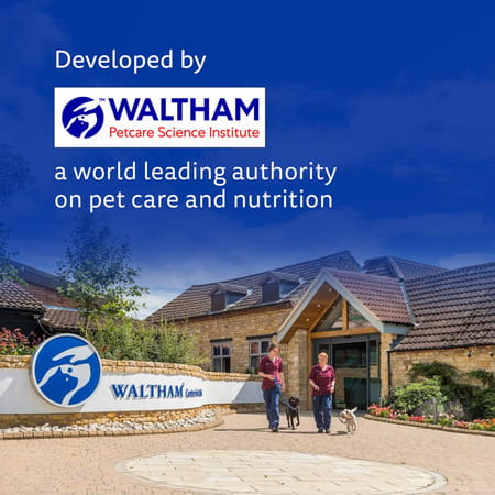 Pedigree Dentastix Oral Care Dog Treat | Adult Large Breed (25+ Kg) | 270 G