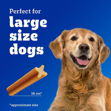 Pedigree Dentastix Oral Care Dog Treat | Adult Large Breed (25+ Kg) | 270 G