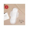 Carmesi All Natural Sanitary Pads Regular Packet Of 30