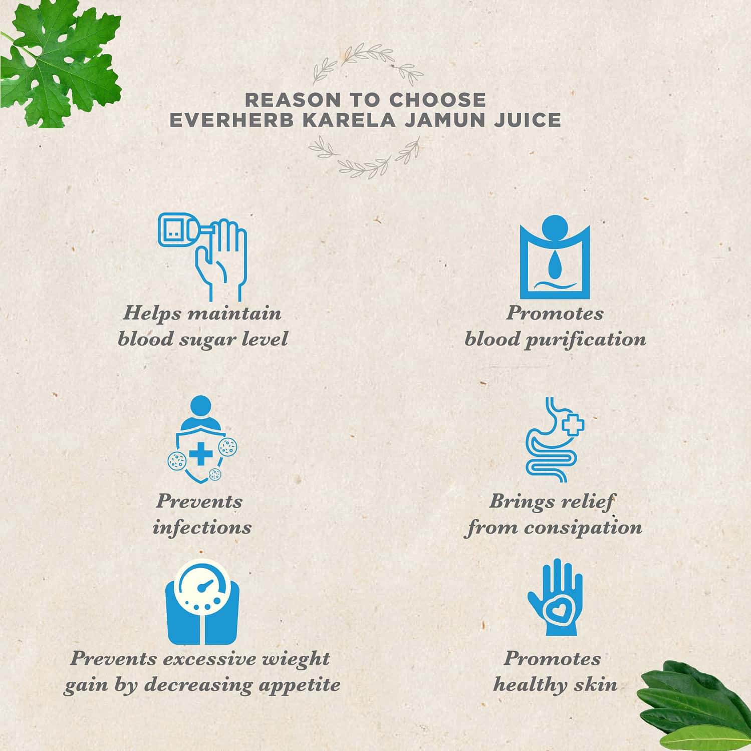 Buy EVERHERB KARELA JAMUN JUICE HELPS MAINTAINS HEALTHY SUGAR LEVELS