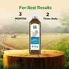 Everherb Karela Jamun Juice - Helps Maintains Sugar Levels & Weight Management - 1 L (By Pharmeasy)