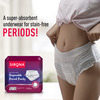 Sirona Disposable Period Panty - S & M