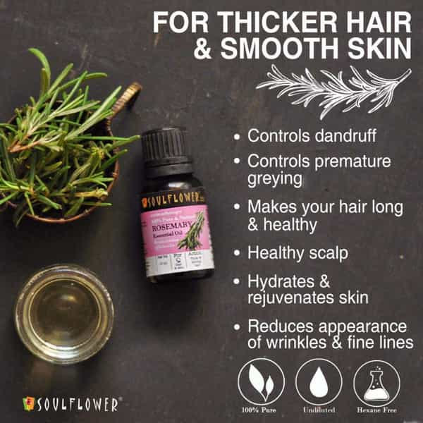 Soulflower Essential Oil Rosemary (15Ml) And Lavender 100% Pure Natural And Undiluted Oil (15Ml)