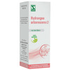 Dr. Willmar Schwabe India Hydrangea Arborescens Mother Tincture Q 30 Ml