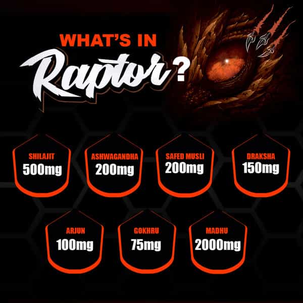 Dr. Morepen Muscle Food Raptor For Men | Ayurvedic Strength & Energy Support 500Ml