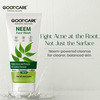 Goodcare Neem Face Wash 100Ml | Anti-Acne | Oil Control | Neem | Turmeric & Saffron | Sulphate-Free