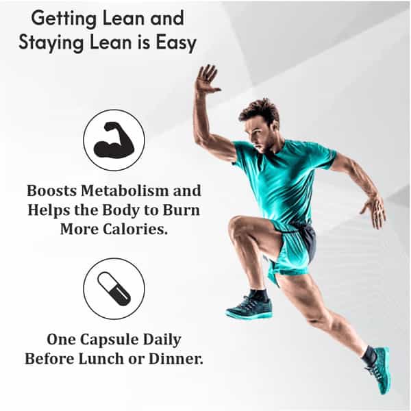 Earth King Fat Burner Capsule|Hunger Suppressant & Weight Loss Supplement|Unisex - 500Mg 60 Capsules