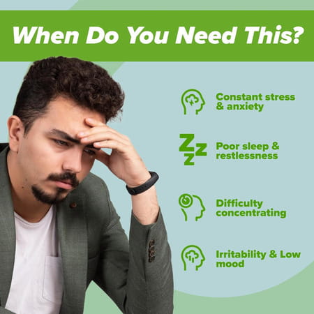Daily All Day Stress Free | Ashwagandha Root | Chamomile For Sleep | Green Tea | 120 Capsules