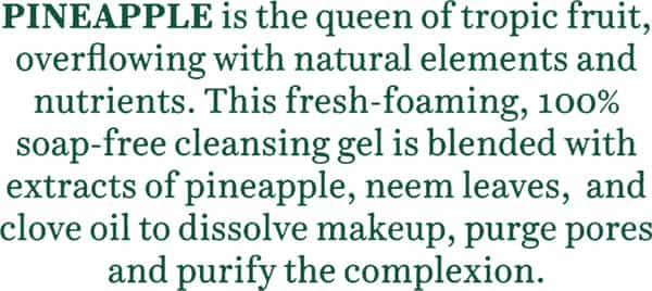 Biotique Bio Pineapple Oil Control Foaming Face Cleanser 120 Ml