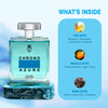 Trendy Collection Chrono Azure Long Lasting Perfume For Men 100Ml