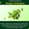 Cipzer Brahmi 30 Capsules | Supports Memory| Brain Health & Cognitive Wellness