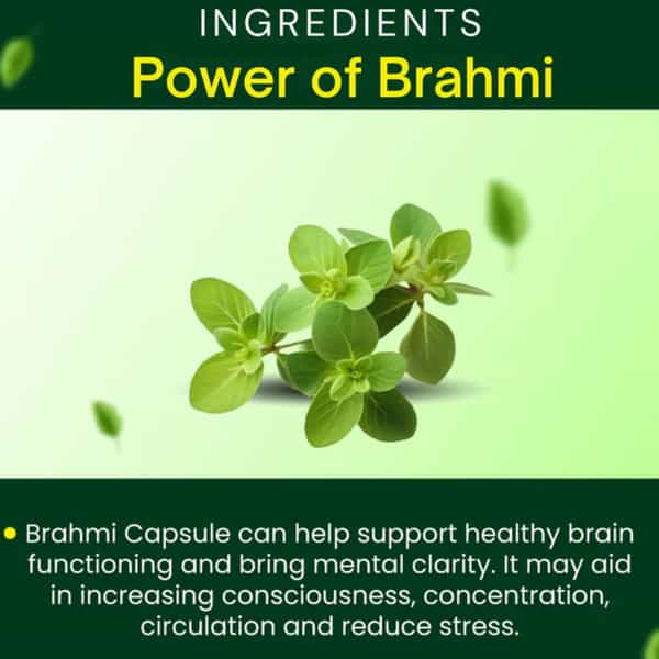 Cipzer Brahmi 30 Capsules | Supports Memory| Brain Health & Cognitive Wellness