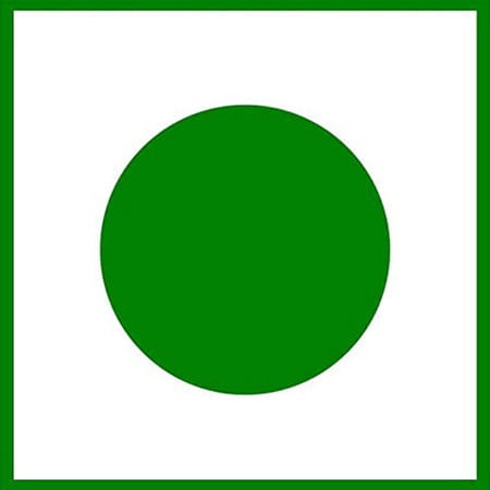 Naturz Ayurveda Barley Grass Powder - 500 G Green