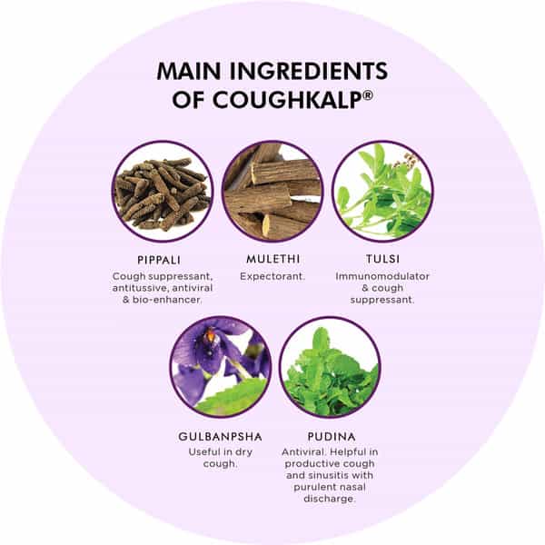 Pravek Coughkalp Syrup 200 Ml
