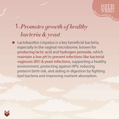 Sheneed Daily Probiotics - Complete Feminine Balance| Good Bacteria & Yeast - 60 Capsules