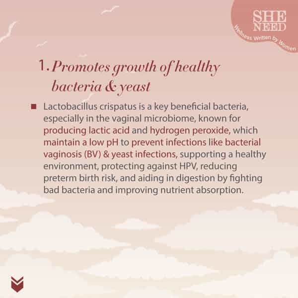 Sheneed Daily Probiotics - Complete Feminine Balance| Good Bacteria & Yeast - 60 Capsules