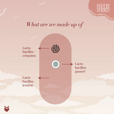 Sheneed Daily Probiotics - Complete Feminine Balance| Good Bacteria & Yeast - 60 Capsules